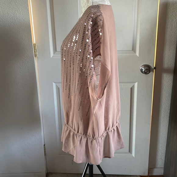 Beautiful Beige Lane Bryant Sheer Top, Size 18-20, no rips tears or stains - Picture 4 of 6